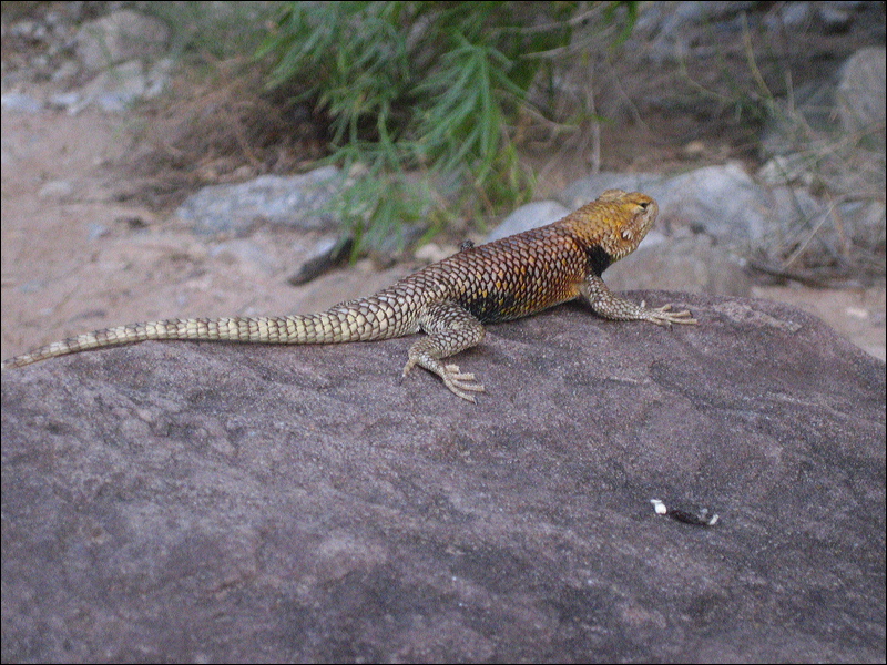 img_3635.jpg