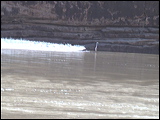 photo0004