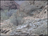 photo0007