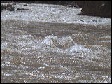 photo0030