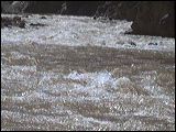 photo0031