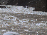 photo0032