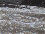photo0034