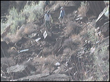 photo0055