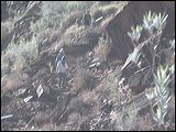 photo0056