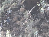 photo0057