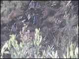 photo0058