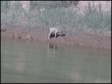 photo0065