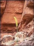 p1020557