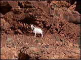 p1020569