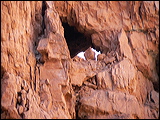 p1020585