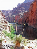 p1020588