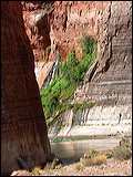 p1020594