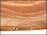 p1020601