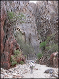 p1020681