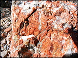 p1020708