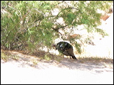 p1020753