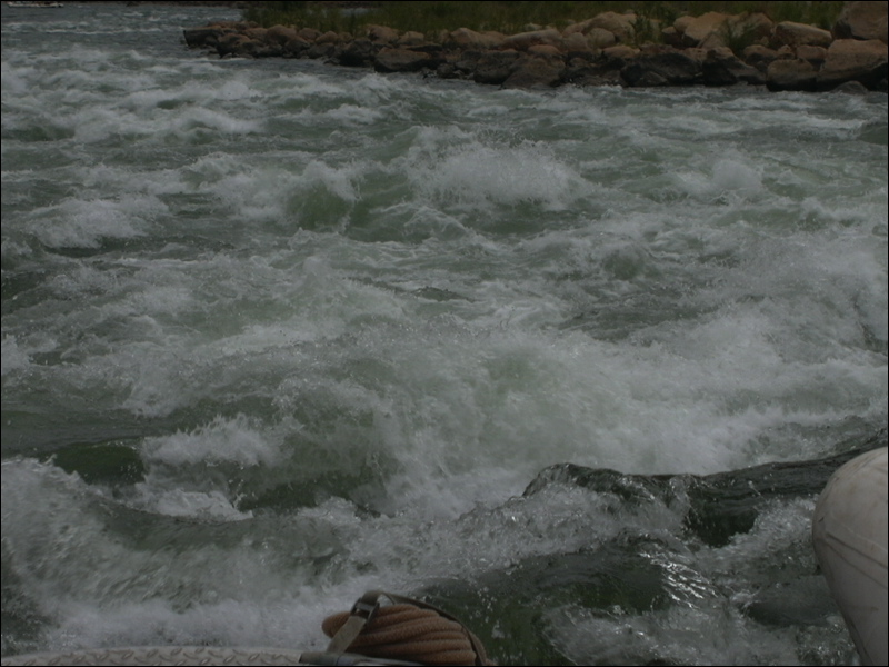 p1010124.jpg