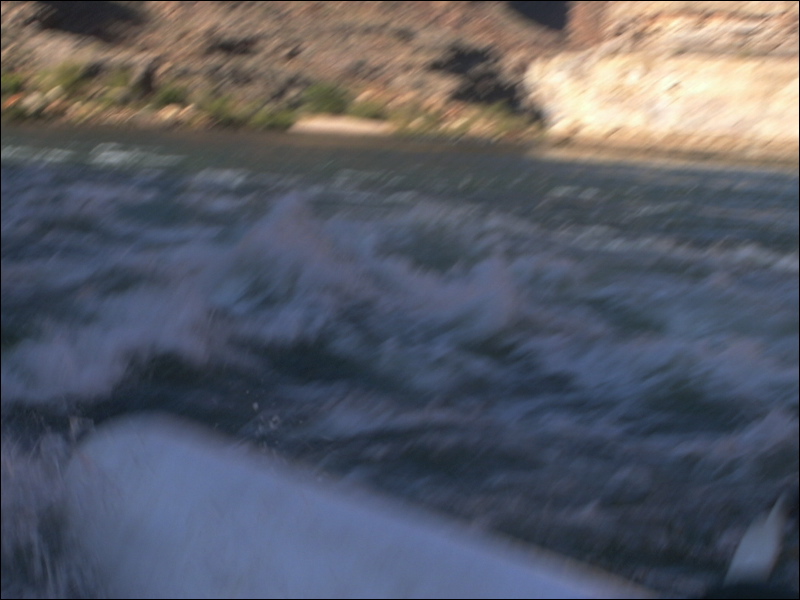 p1010146.jpg
