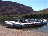 p1010109