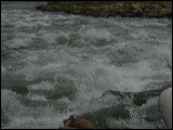 p1010124