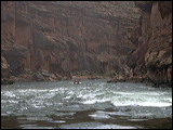 p1010135