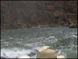 p1010136