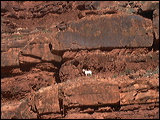 p1010138