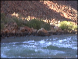 p1010145
