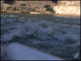 p1010146