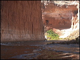 p1010171