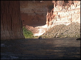 p1010172