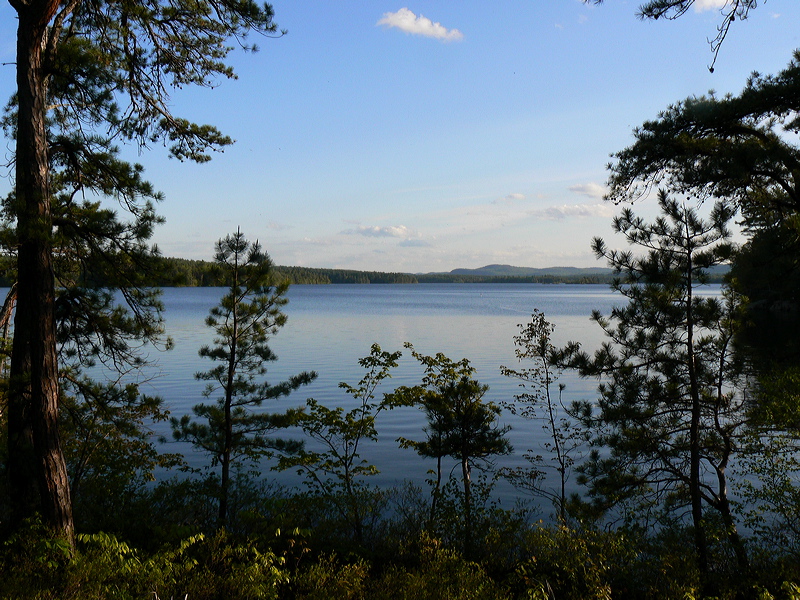 p1000344.jpg