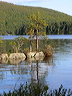 p1000352